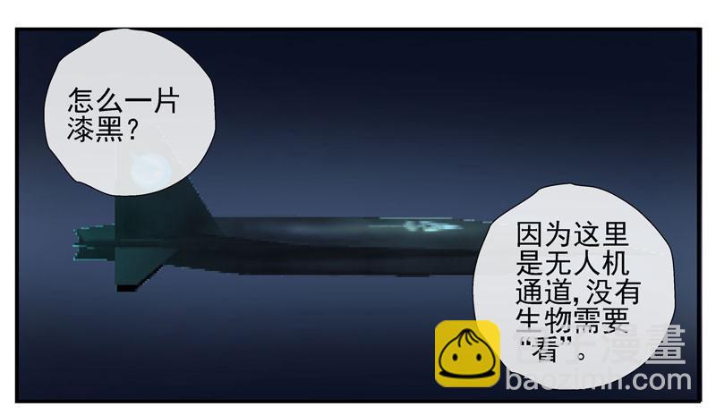 🍹活城 11，抓飞机 第33页
