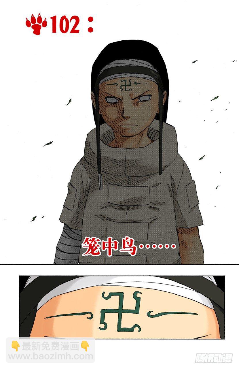 🍹火影忍者（全彩版） 第102话 笼中鸟…… 第4页