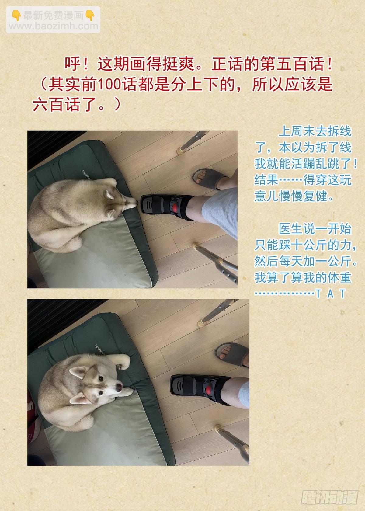 🍹狐妖小红娘 总500·战龙王 第17页