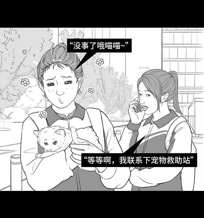 🍹鬍渣少女 第195回 校园霸凌 第35页