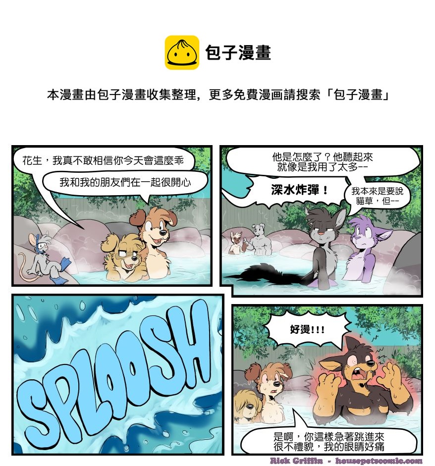 🍴家宠 第1479话 第1页