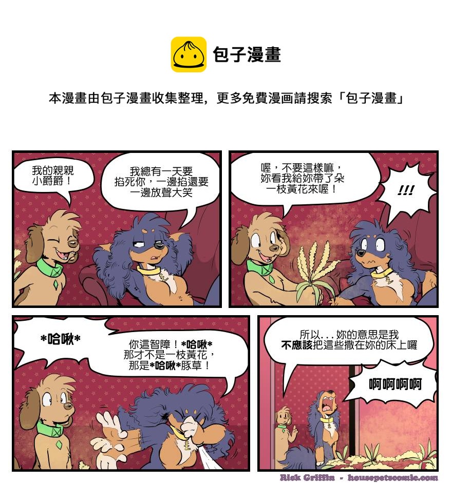 🍴家宠 第1537话 第1页