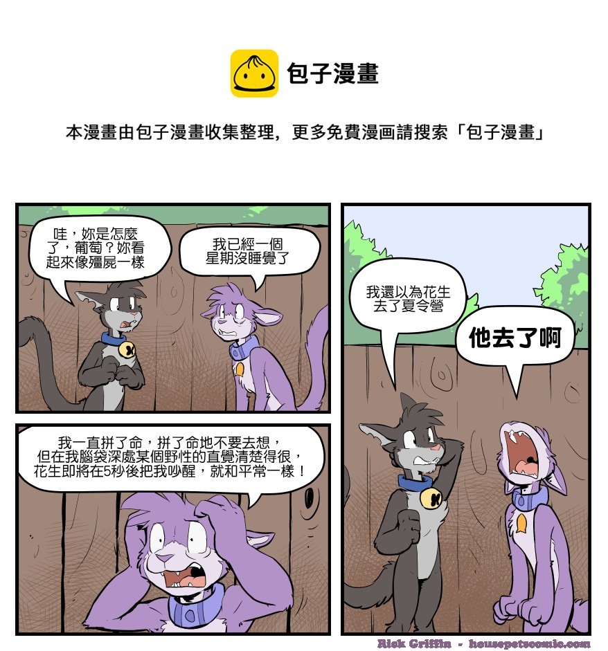 🍴家宠 第1571话 第1页