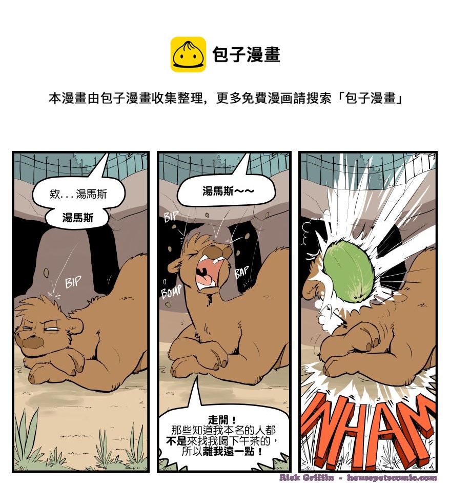 🍴家宠 第1603话 第1页