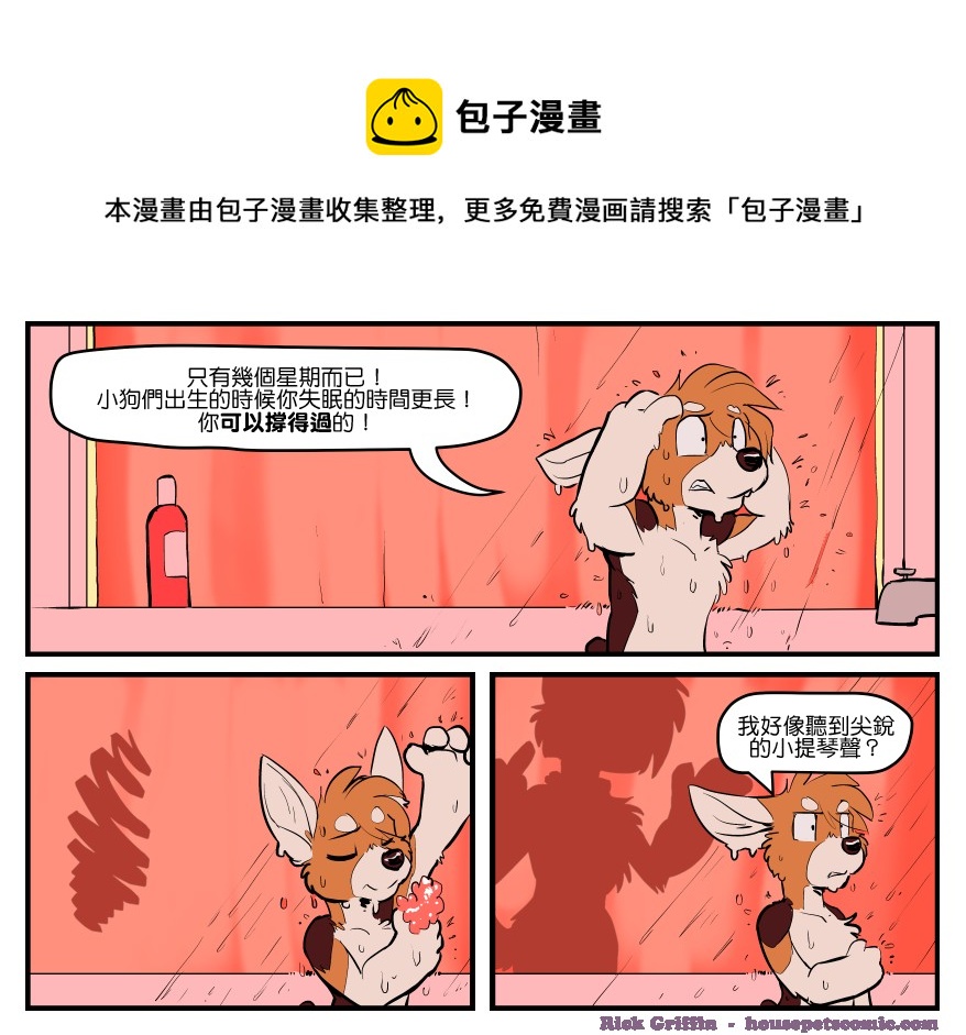 🍴家宠 第1649话 第1页