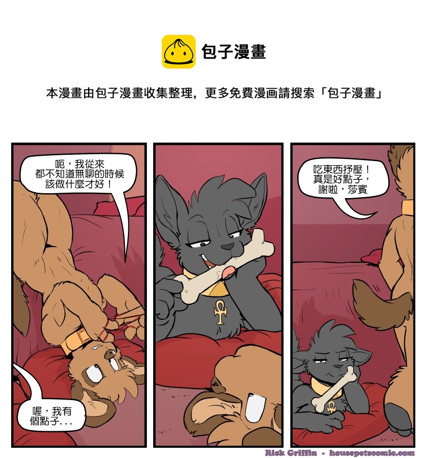 🍴家宠 第1663话 第1页