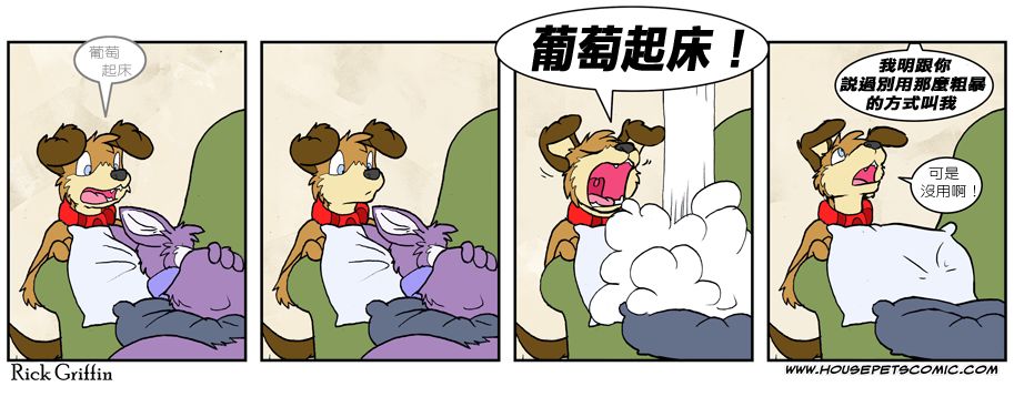 🍴家宠 第562话 第1页