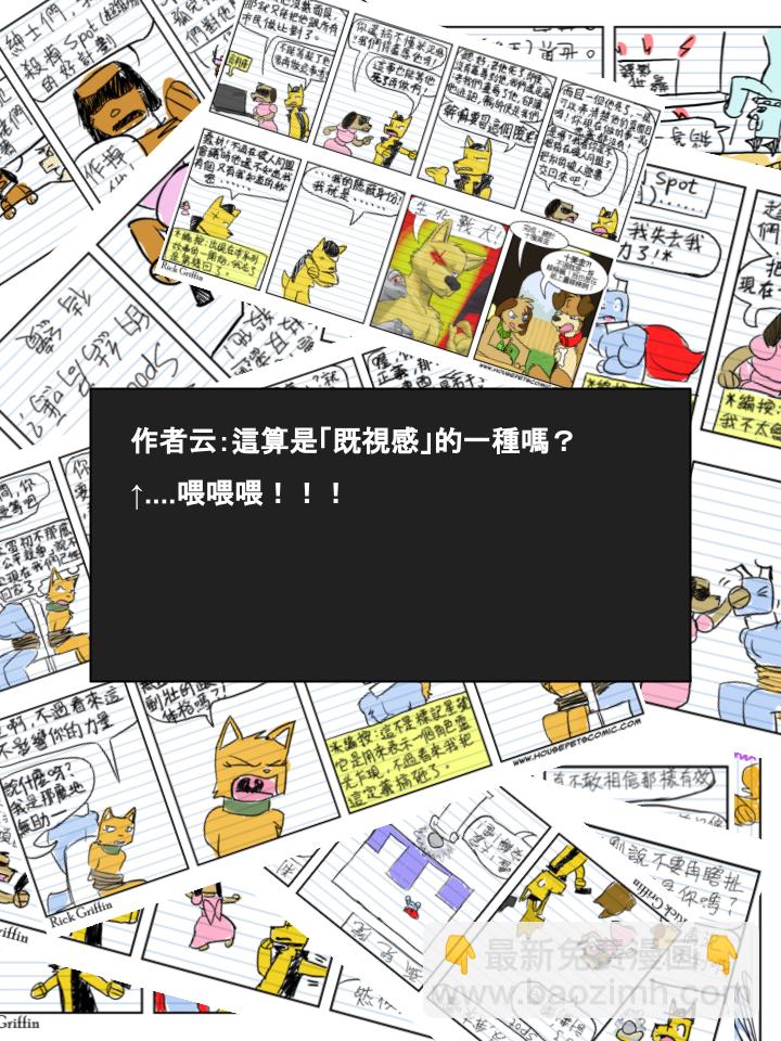 🍴家宠 第594话 第2页