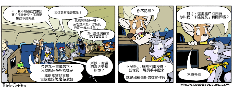 🍴家宠 第864话 第1页