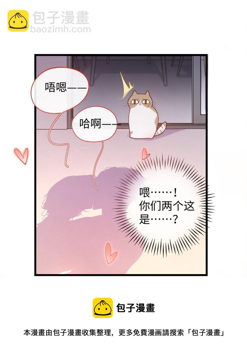 002 情侣养宠，多半分手(1/2)-第2话