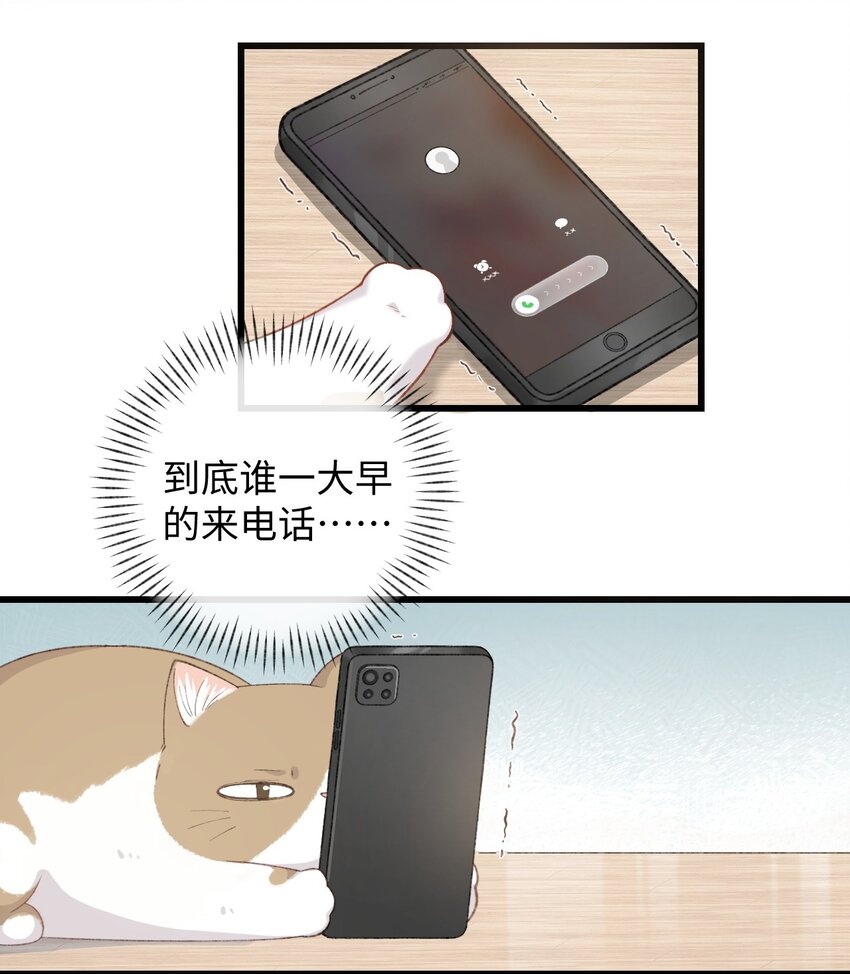 002 情侣养宠，多半分手(1/2)-第2话