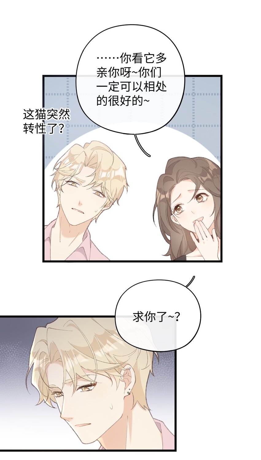 002 情侣养宠，多半分手(1/2)-第2话