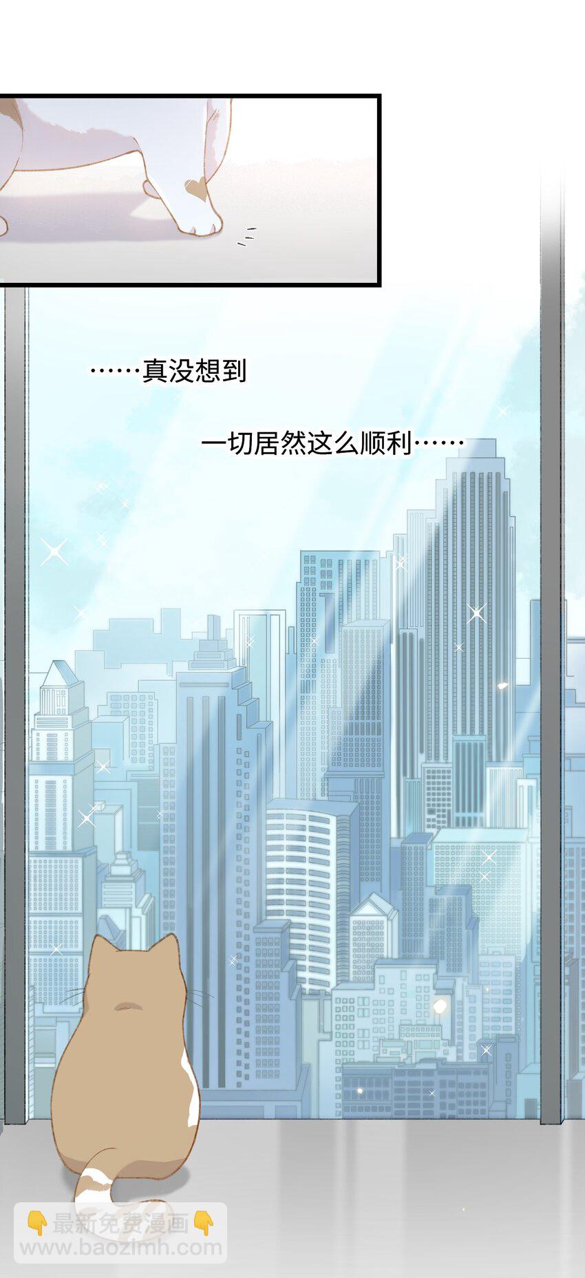 002 情侣养宠，多半分手(1/2)-第2话