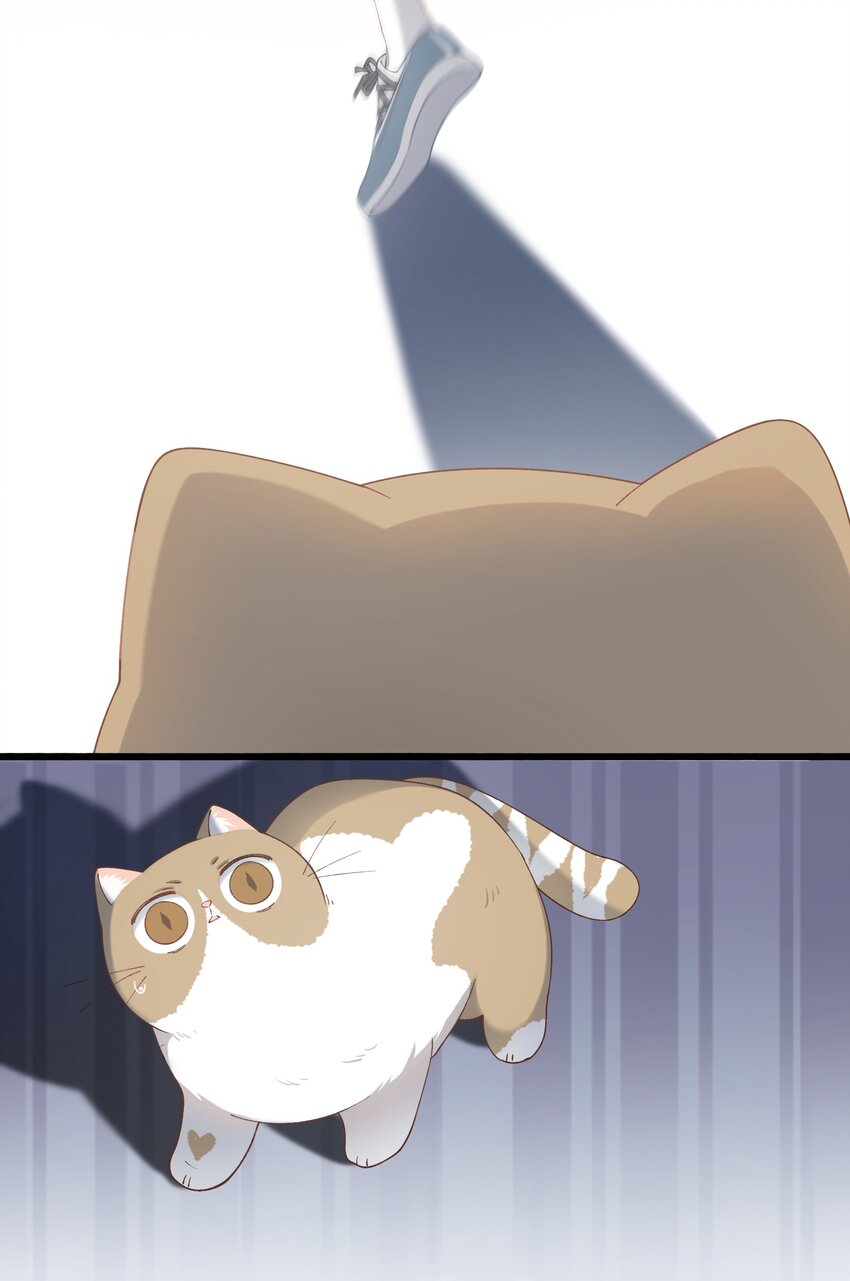 014 躲开了！？？？-第14话