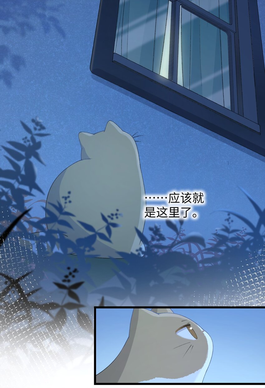 020 祸不单行 ！-第20话