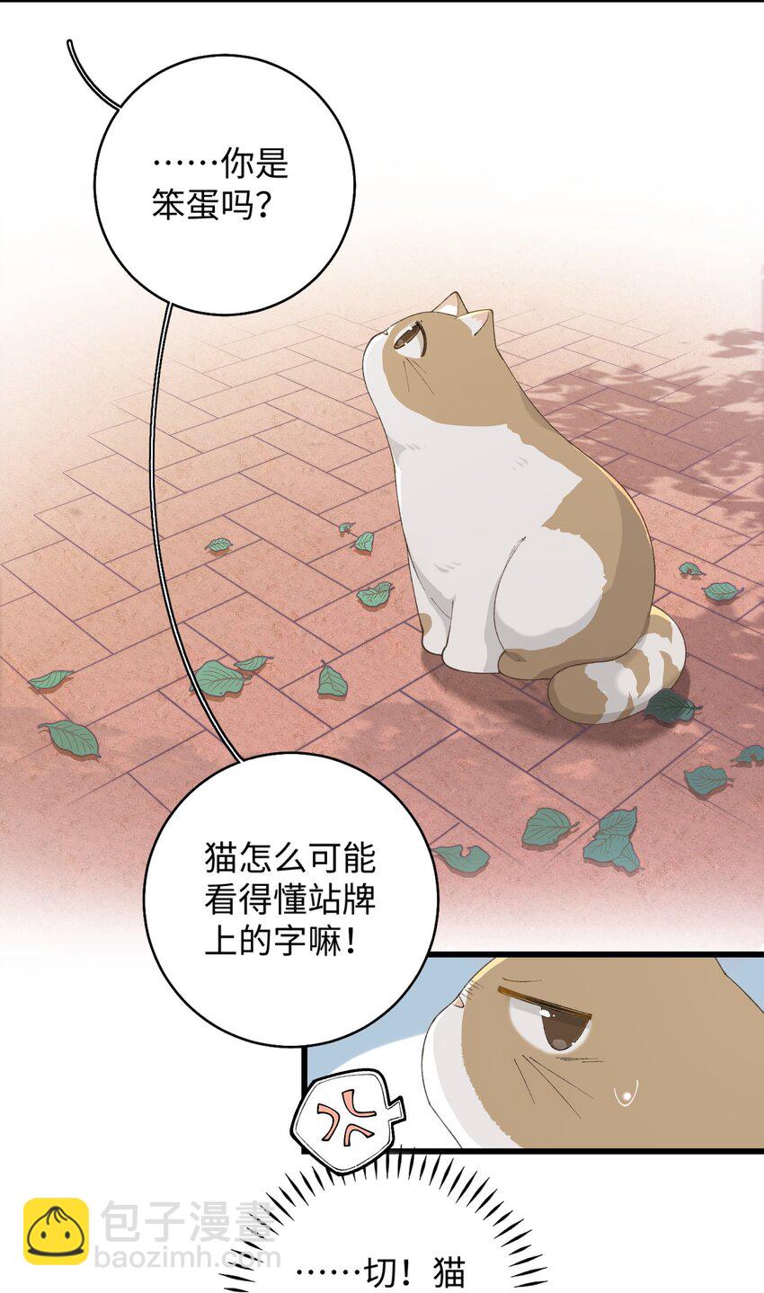 024 修猫咪逃逸成功-第24话