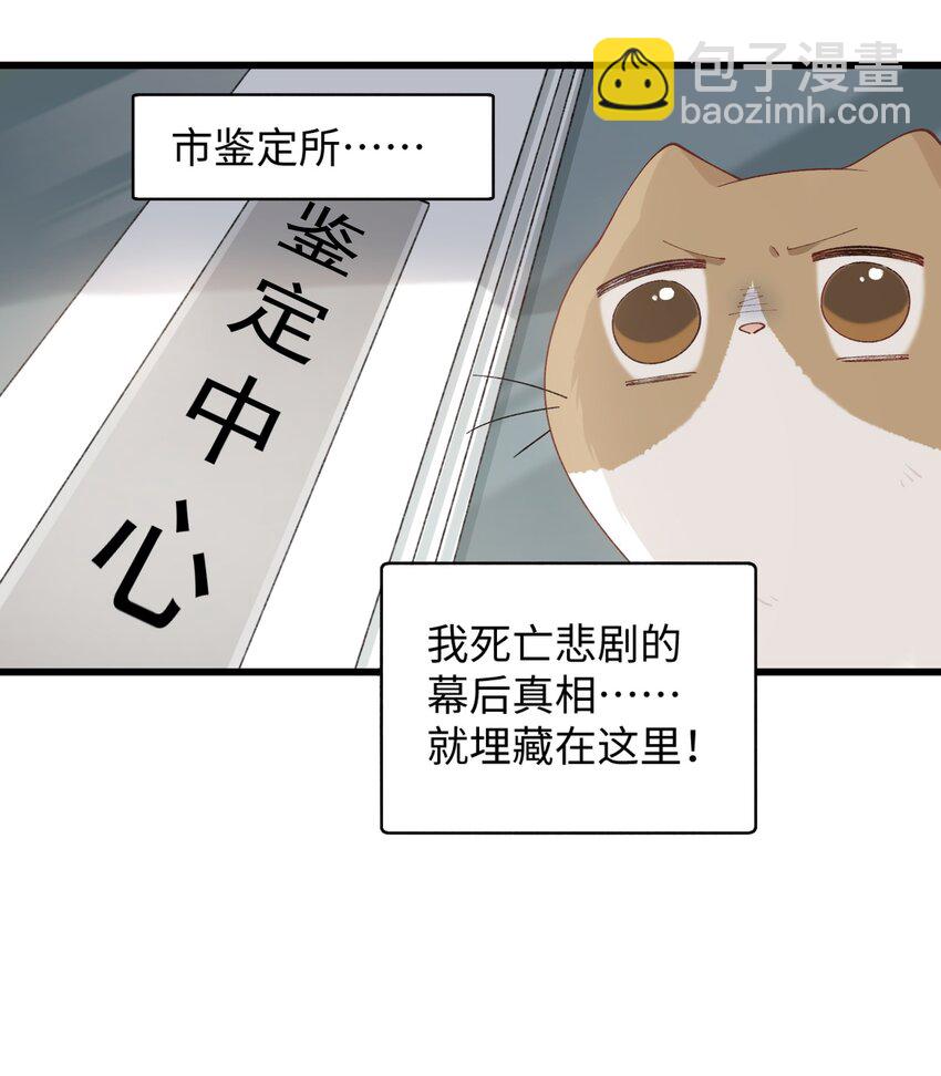 024 修猫咪逃逸成功-第24话