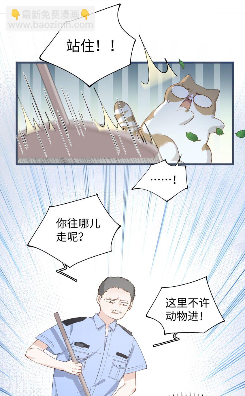 024 修猫咪逃逸成功-第24话