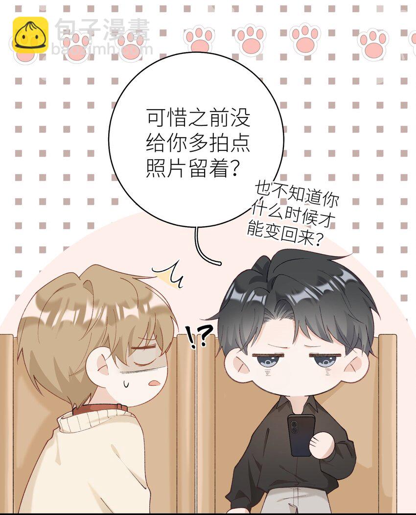 040 什么时候才能变回小猫咪呢【悲】-第40话