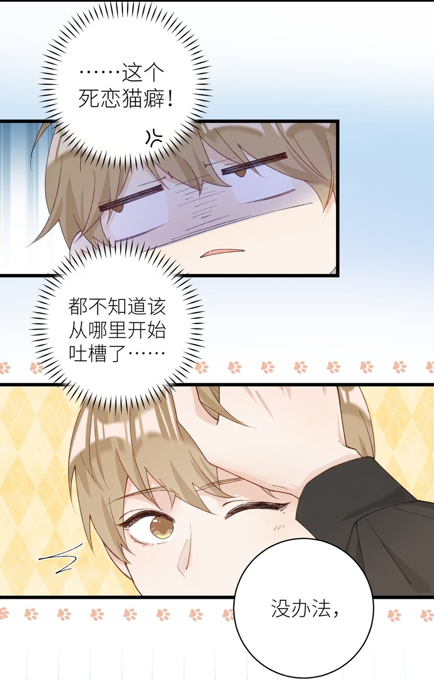 040 什么时候才能变回小猫咪呢【悲】-第40话