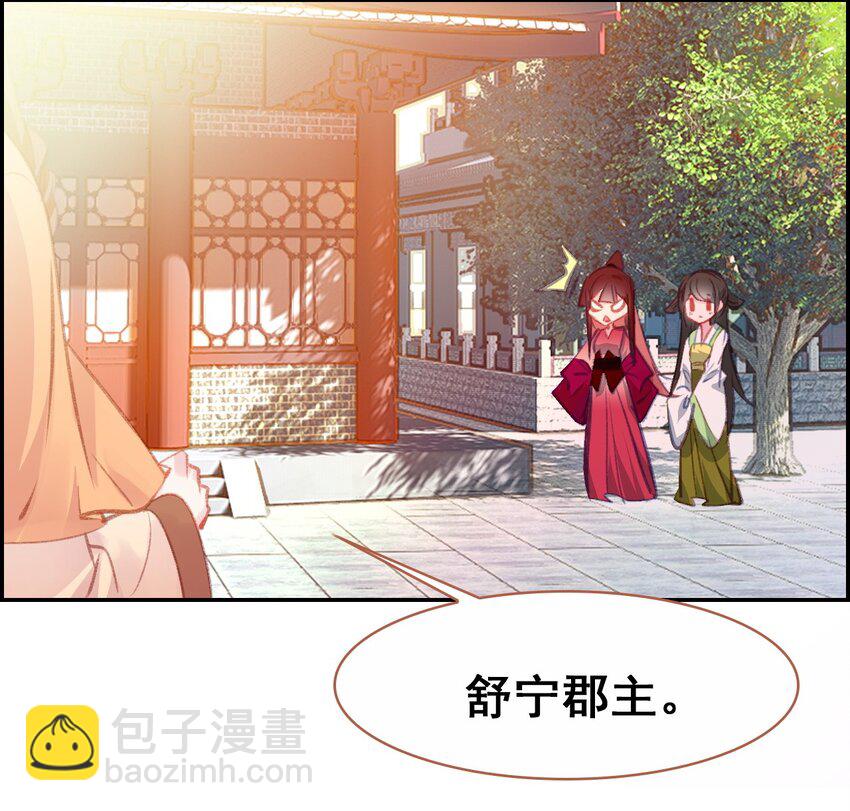 035 舒宁郡主的好意(1/2)-第38话