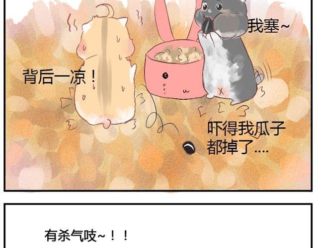 第2话 可怜的孩子们-第2话