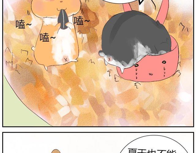 第2话 可怜的孩子们-第2话
