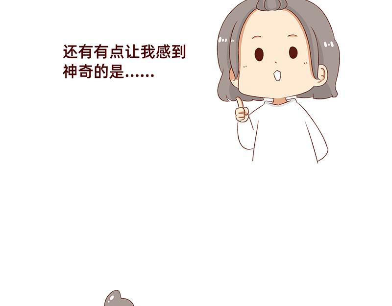 🍴加零的漫画日记 漫画5周年啦！ 第14页