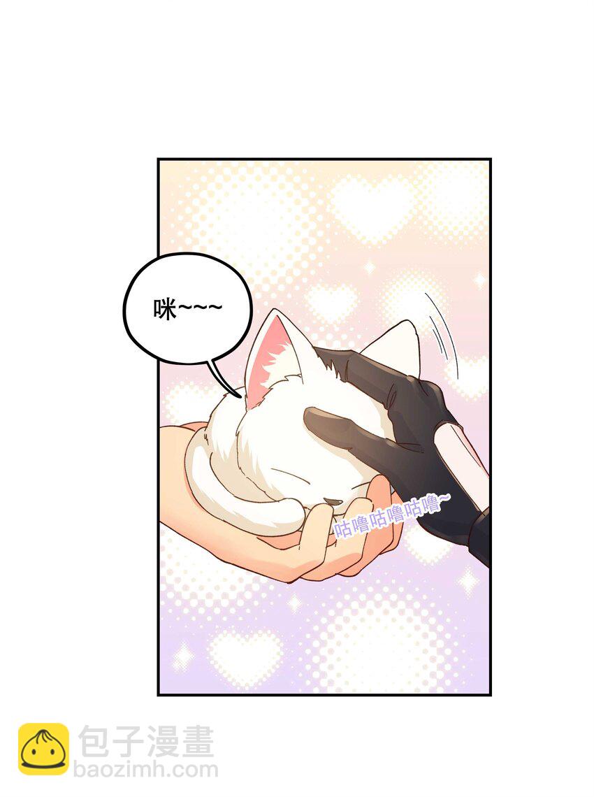 120 小~猫~咪~-第126话