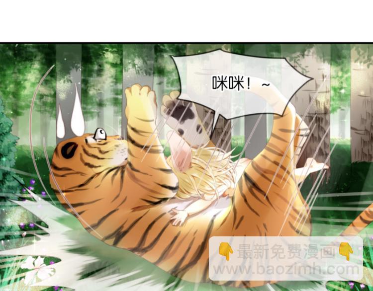 第1＋2话 捡到一只很萌的狐狸？(1/3)-第2话