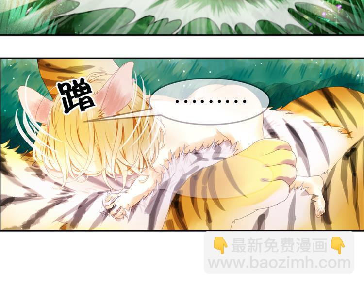 第1＋2话 捡到一只很萌的狐狸？(1/3)-第2话