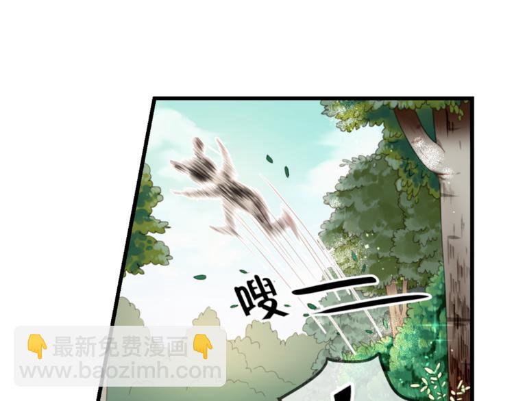 第1＋2话 捡到一只很萌的狐狸？(1/3)-第2话