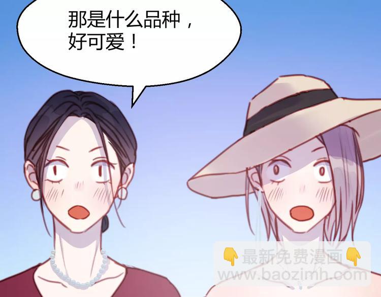 番外：最宠爱宠物的人-第78话