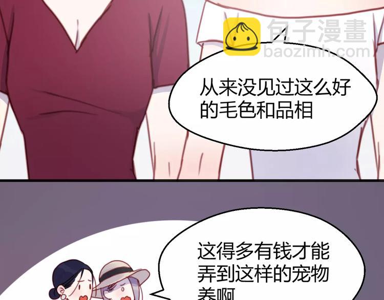番外：最宠爱宠物的人-第78话