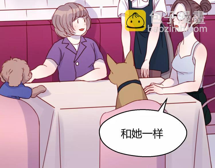 番外：最宠爱宠物的人-第78话