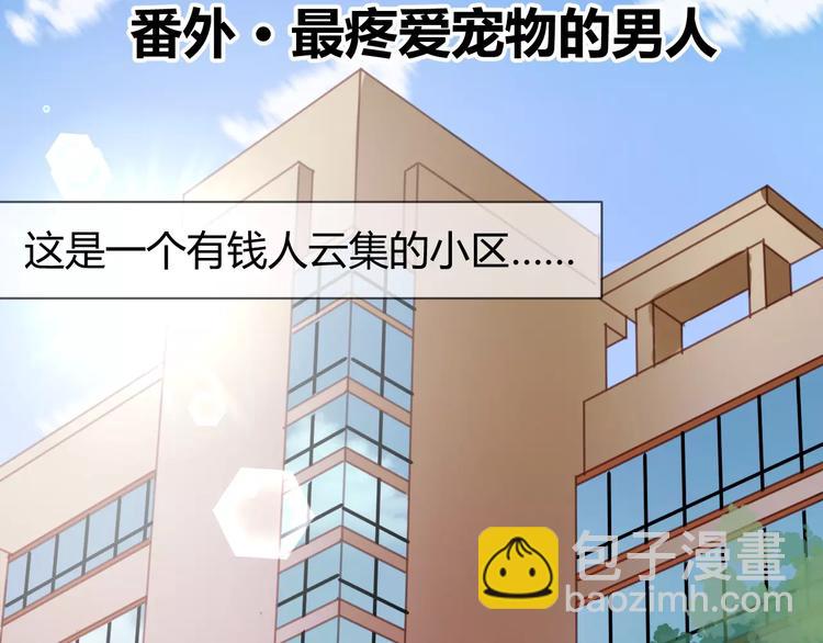 番外：最宠爱宠物的人-第78话