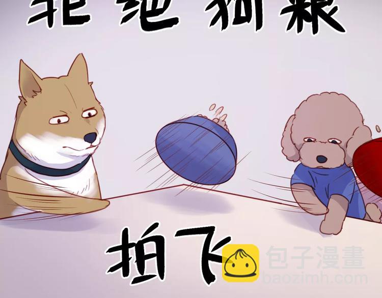 番外：最宠爱宠物的人-第78话