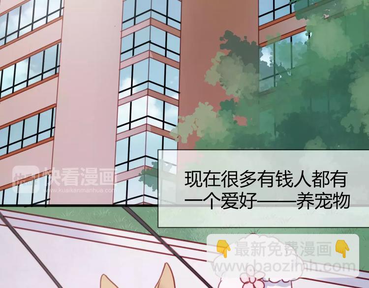 番外：最宠爱宠物的人-第78话