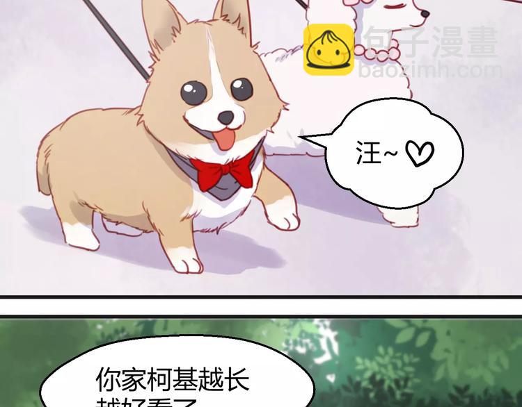 番外：最宠爱宠物的人-第78话
