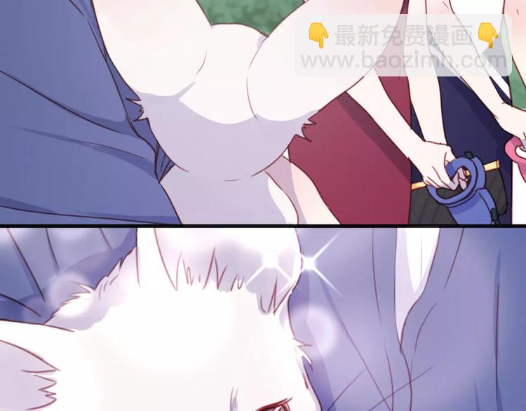 番外：最宠爱宠物的人-第78话