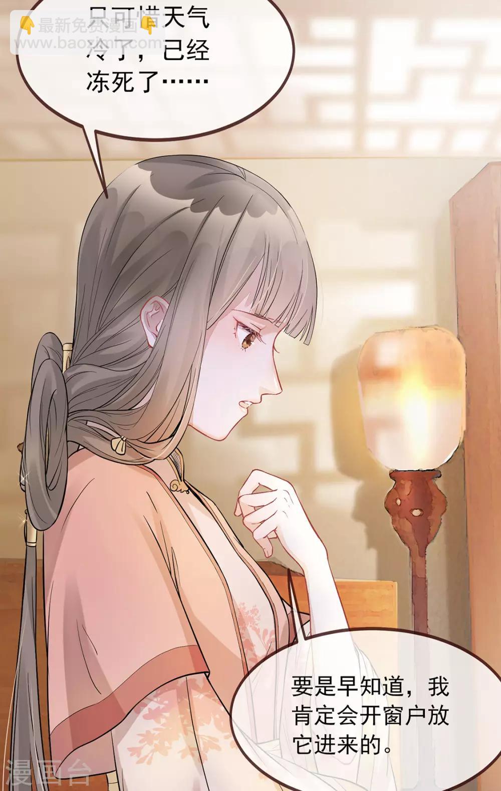 第3话 种下一颗种子-第4话