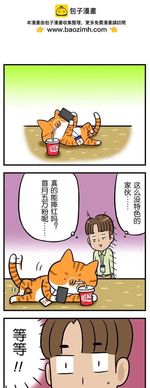 第12回 猫的颜值，由你的摄影技术决定-第12话