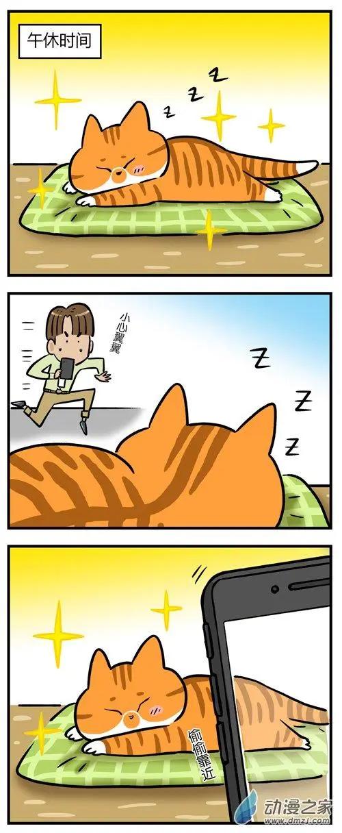 第14回 猫睡着了就能为所欲为？做梦！-第14话