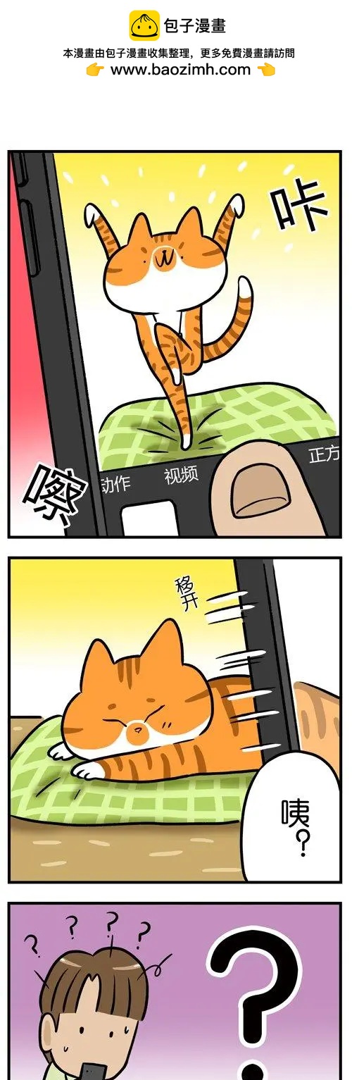 第14回 猫睡着了就能为所欲为？做梦！-第14话