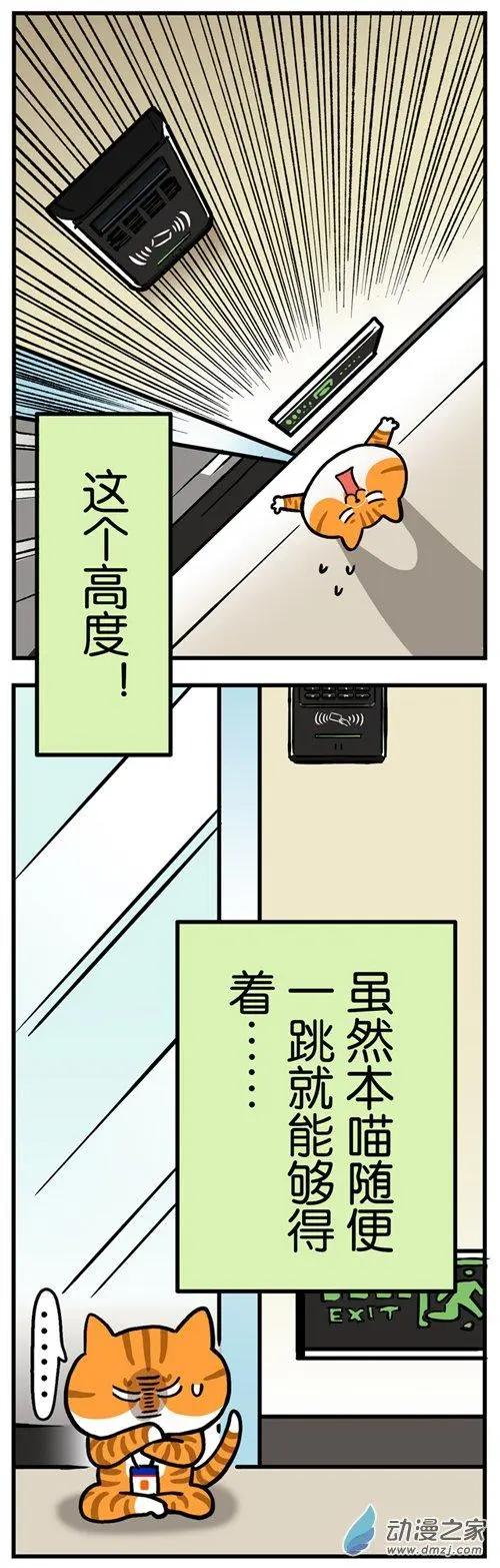 第02回 遇到奇葩同事，你该先踹他的脸-第2话