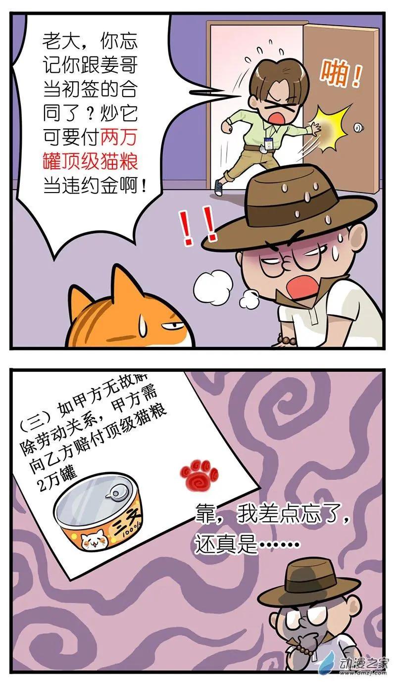 第28回 捡猫回家，是我这辈子最后悔的事-第28话