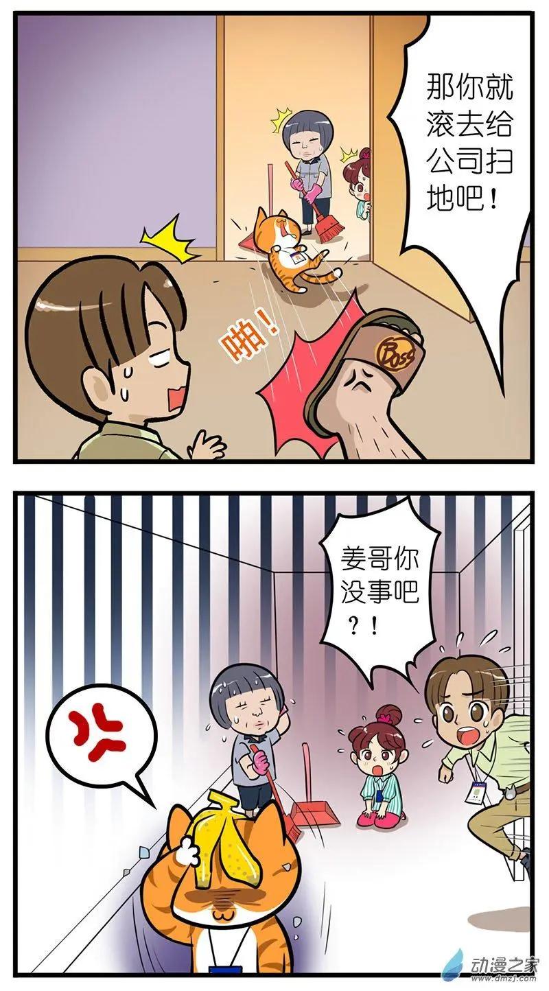 第28回 捡猫回家，是我这辈子最后悔的事-第28话