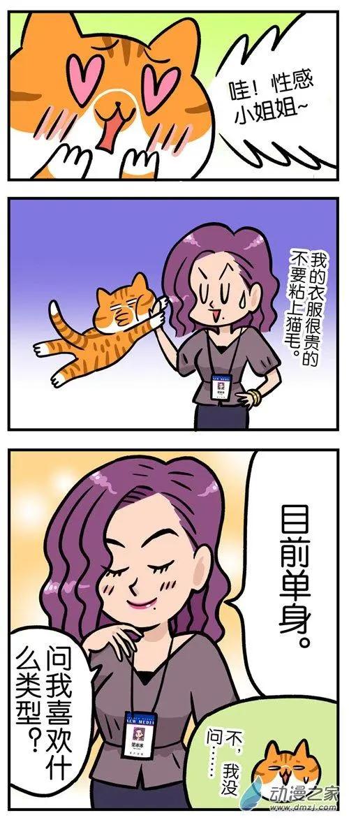 第04回 爱腿之心，猫皆有之-第4话