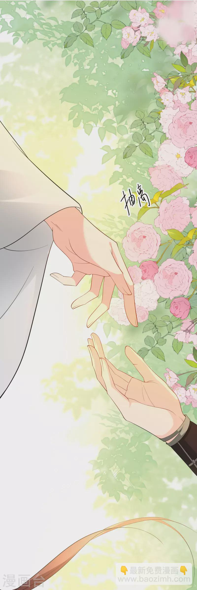 第41话 辣手摧花-第42话