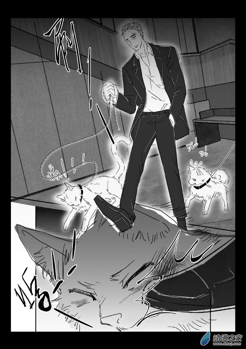 第37话 猫和狗和人（二）-第36话